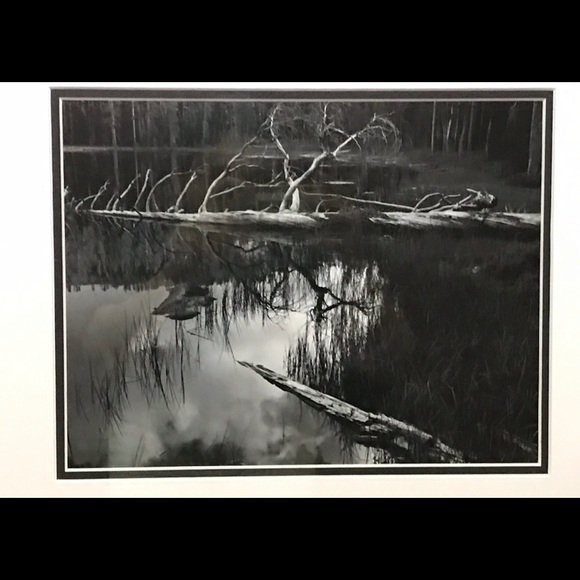 Framed Art - Picture 2 of 2